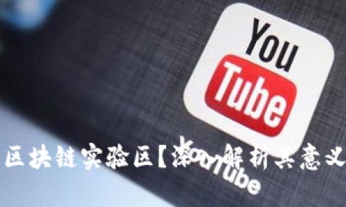 什么是区块链实验区？深入解析其意义与应用