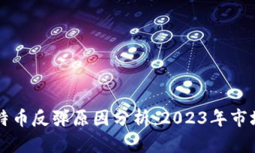 区块链比特币反弹原因分析：2023年市场动向解读
