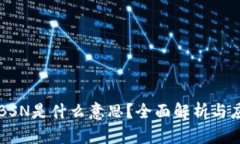 区块链BSN是什么意思？全面解析与应用前景