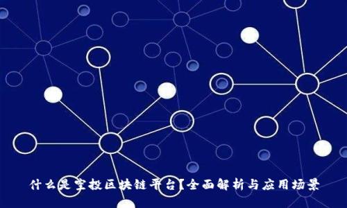 什么是空投区块链平台？全面解析与应用场景