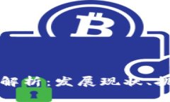 区块链运营全解析：发展现状、挑战与未来前景