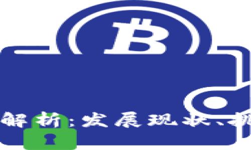 区块链运营全解析：发展现状、挑战与未来前景