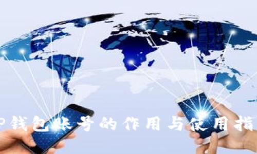 TP钱包账号的作用与使用指南