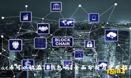 dac币可以放在TP钱包吗？全面分析与使用指南