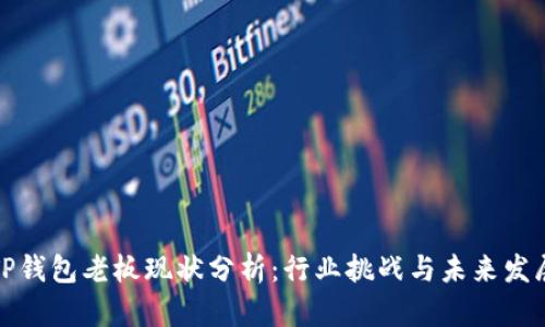 TP钱包老板现状分析：行业挑战与未来发展