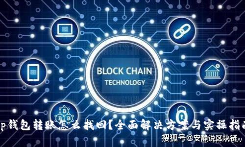 tp钱包转账怎么找回？全面解决方案与实操指南