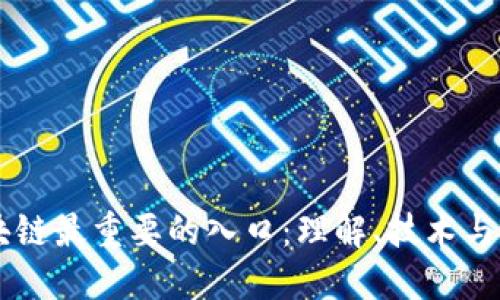 区块链最重要的入口：理解、技术与应用