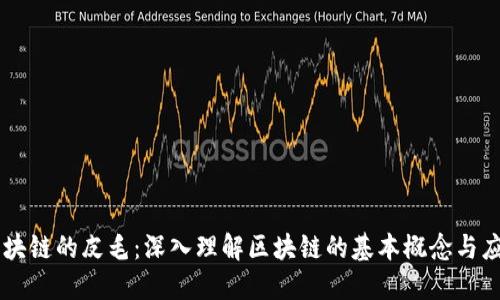 区块链的皮毛：深入理解区块链的基本概念与应用