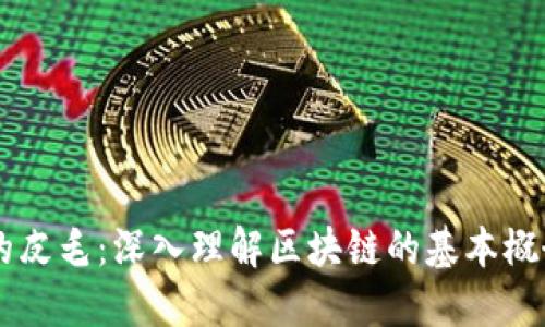 区块链的皮毛：深入理解区块链的基本概念与应用