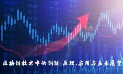 区块链技术中的侧链：原理、应用与未来展望