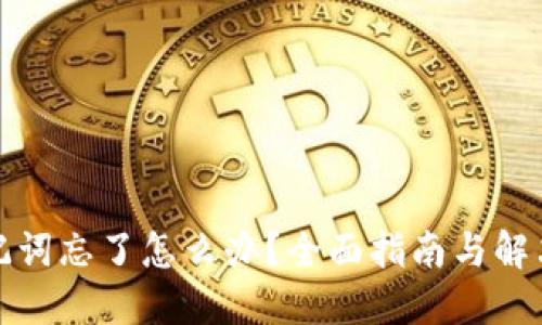 TP助记词忘了怎么办？全面指南与解决方案